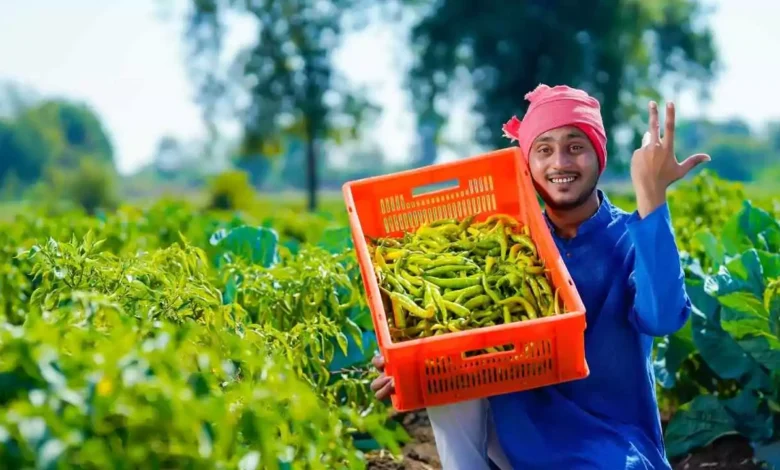 PM Kisan Yojana 21st Installment: 21वीं किस्त जारी, बाढ़ प्रभावित किसानों को मिली राहत