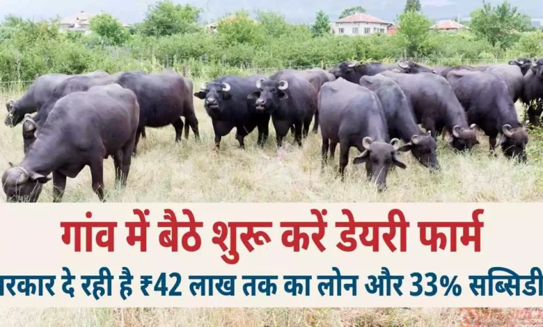 गांव में बैठे शुरू करें डेयरी फार्म — सरकार दे रही है ₹42 लाख तक का लोन और 33% सब्सिडी!