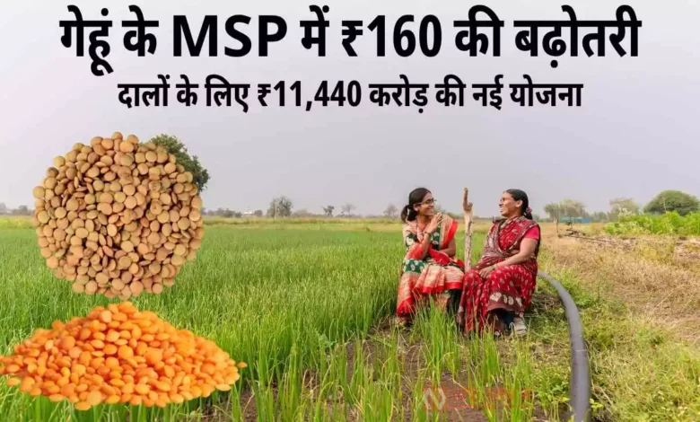Cabinet Decision 2025: गेहूं के MSP में ₹160 की बढ़ोतरी, दालों के लिए ₹11,440 करोड़ की नई योजना