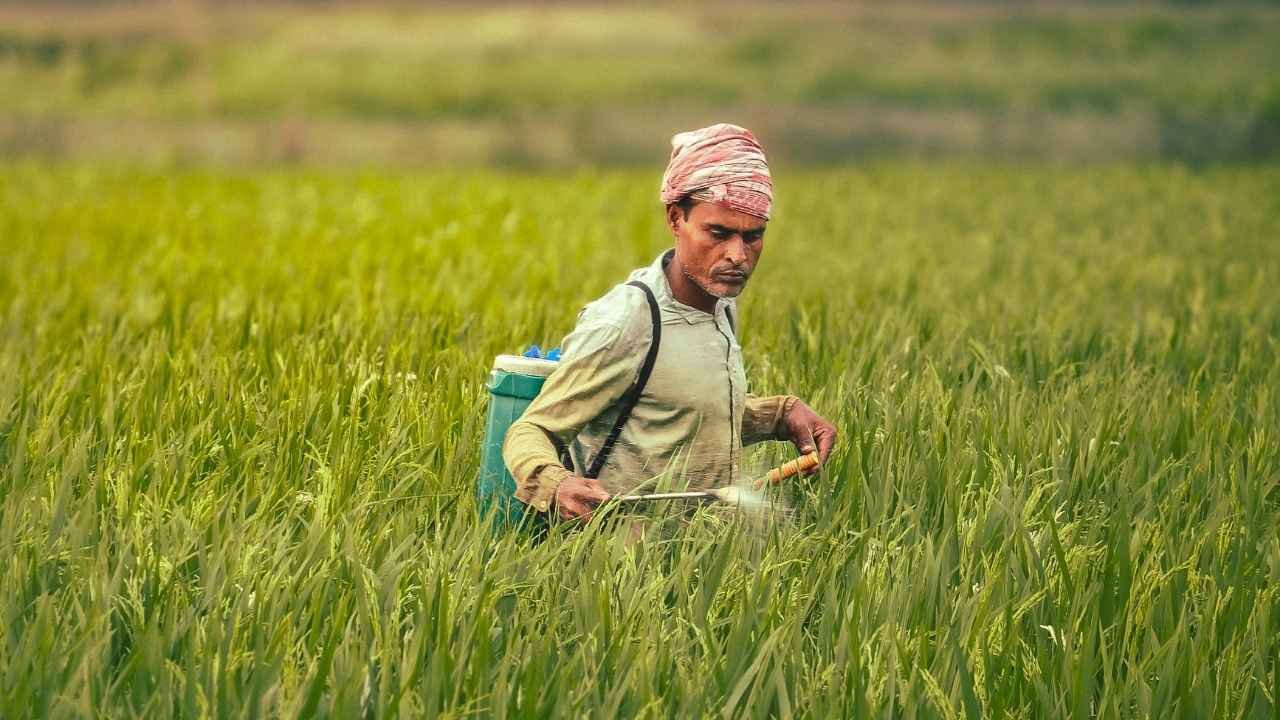 DAP और यूरिया के साथ अतिरिक्त सामान बेचा तो होगी कार्रवाई—कृषि मंत्री राणा का सख्त आदेश