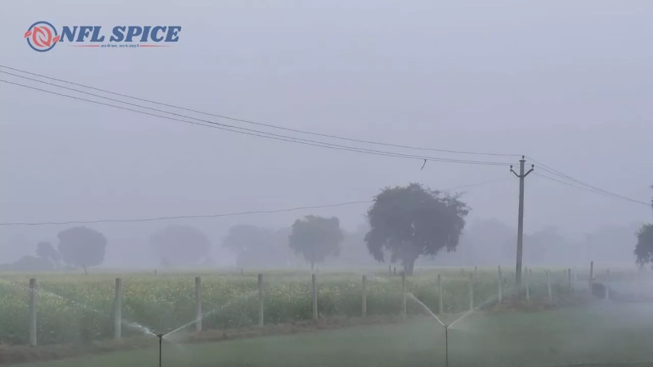 हरियाणा में ठंड का कहर: बर्फीली हवाओं और घने कोहरे से जनजीवन प्रभावित, कई जगहों पर बूंदाबांदी की आशंका