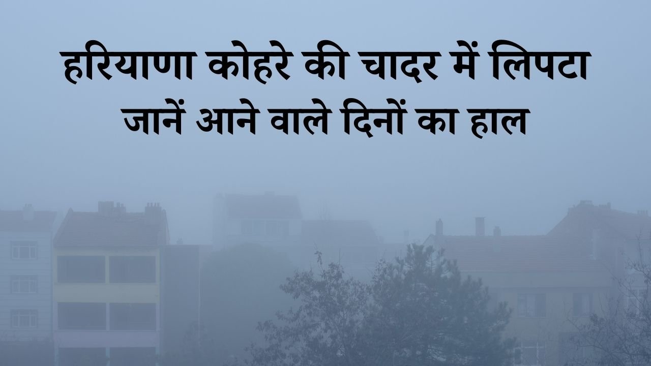 हरियाणा में कोहरे का यलो अलर्ट: हिसार सबसे ठंडा, ट्रेनों और बसों पर लगा ब्रेक, जानें आने वाले दिनों का हाल