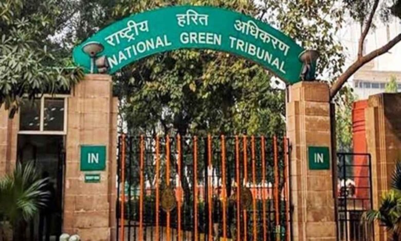 Yamunanagar Stone Crusher: क्या बंद होंगे 217 स्टोन क्रशर? NGT की पहली सुनवाई में ही मचा हड़कंप, अब 4 हफ्ते का अल्टीमेटम!