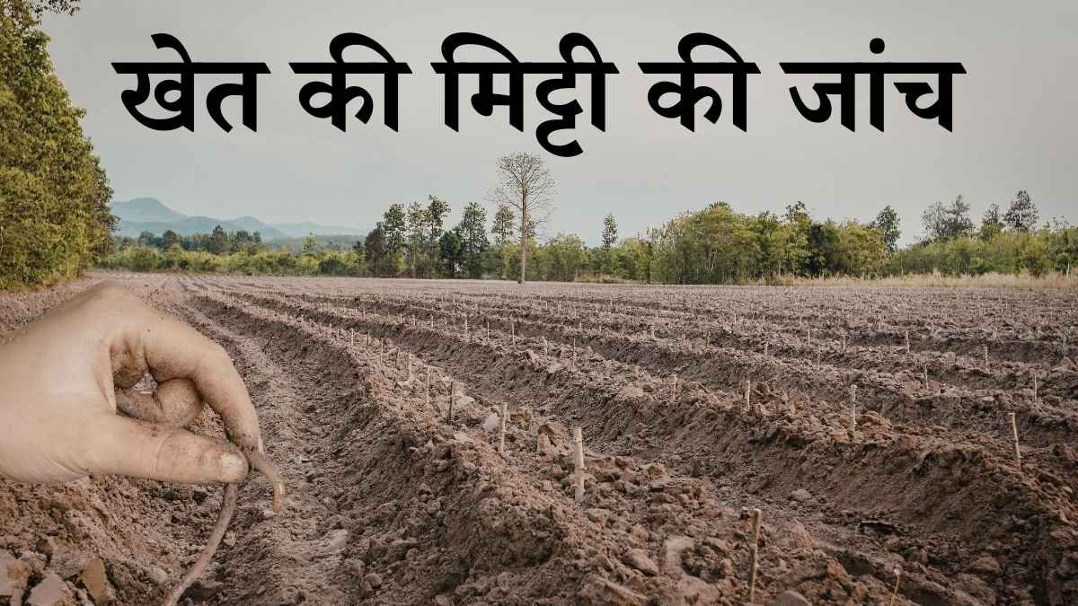 खेत की मिट्टी की जांच