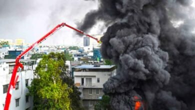 World Cup Celebration Turns Scary in Mumbai as Fireworks Rocket Hits Apartment