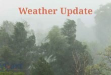 Haryana Weather Update