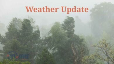 Haryana Weather Update