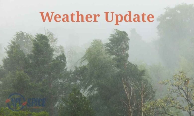 Haryana Weather Update