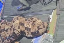 Haryana News: धरने पर सो रहे HPSC अभ्यर्थियों की नींद का फायदा उठा ले गया शातिर चोर, 1 मिनट में 4 कीमती मोबाइल पार