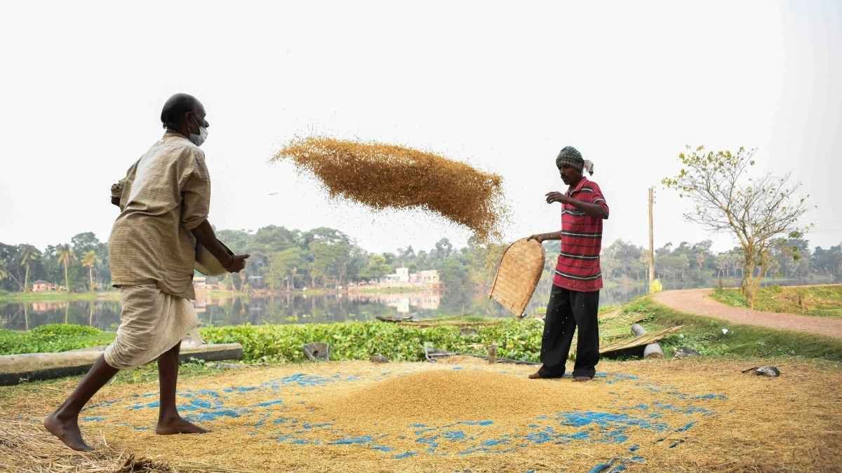 जानें कैसे ₹6000 ने बदल दी किसानों की तकदीर!