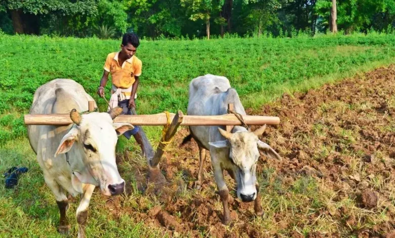 PM Kisan Yojana: क्या बटाईदारों (Sharecroppers) को भी मिलेंगे ₹6000? सरकार ने साफ किए पात्रता के कड़े नियम, जानें सच