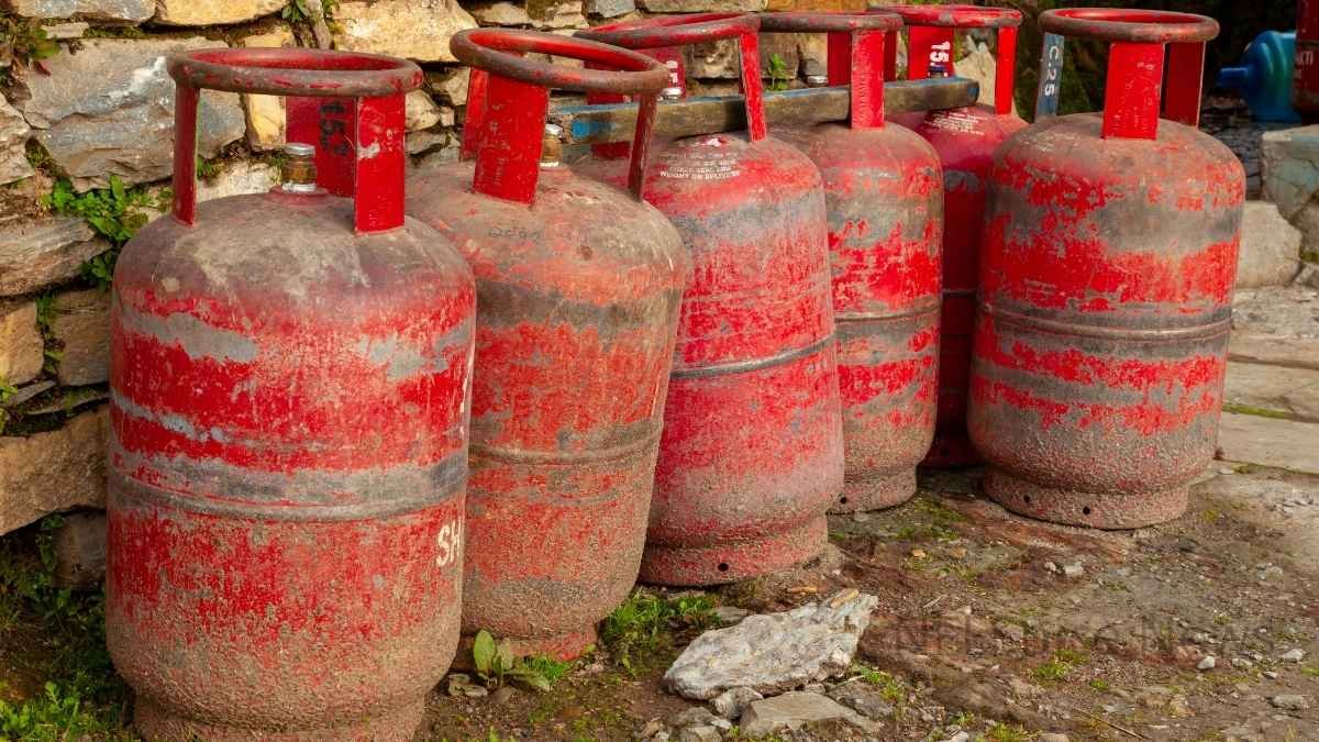 24 घंटे में मिलीं 91 शिकायतें, प्रशासन ने तुरंत एजेंसियों को दिए कार्रवाई के निर्देश