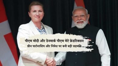 पीएम मोदी और डेनमार्क की पीएम मेटे फ्रेडरिक्सन