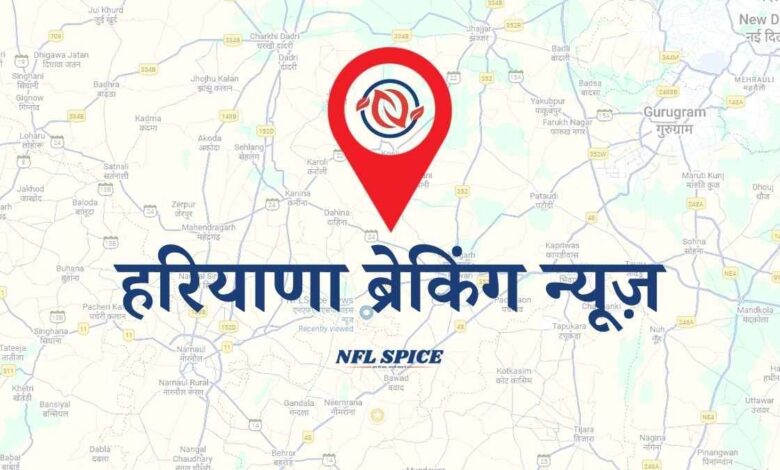 NFLSpice-News-Haryana