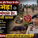 सोनीपत में पुलिस मुठभेड़ में गैंगस्टर गोपाल ढेर, हेड कांस्टेबल घायल - प्रतिकात्मक तस्वीर