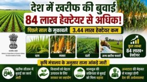 खरीफ फसलों की बुवाई 84 लाख हेक्टेयर के पार, पिछले साल के मुकाबले क्षेत्रफल में हल्की कमी 4 खरीफ फसलों की बुवाई 84 लाख हेक्टेयर के पार, पिछले साल के मुकाबले क्षेत्रफल में हल्की कमी
