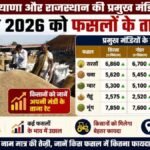 19 जून मंडी भाव: सरसों में आई तेजी, सिरसा से नोहर तक किसानों को मिले बेहतर दाम, देखें आज के ताजा रेट