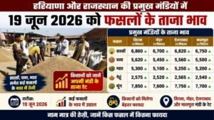 19 जून मंडी भाव: सरसों में आई तेजी, सिरसा से नोहर तक किसानों को मिले बेहतर दाम, देखें आज के ताजा रेट 6 19 जून मंडी भाव: सरसों में आई तेजी, सिरसा से नोहर तक किसानों को मिले बेहतर दाम, देखें आज के ताजा रेट