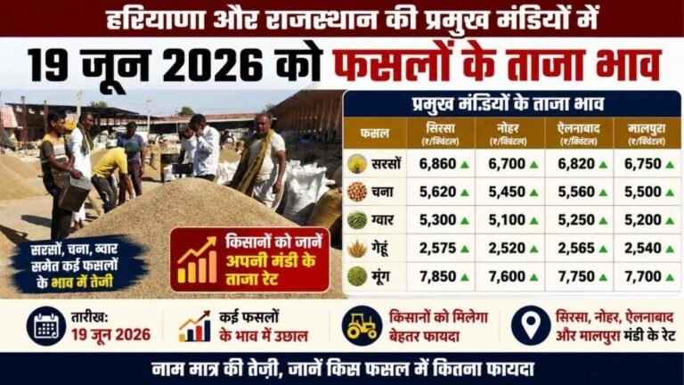 19 जून मंडी भाव: सरसों में आई तेजी, सिरसा से नोहर तक किसानों को मिले बेहतर दाम, देखें आज के ताजा रेट 35 19 जून मंडी भाव: सरसों में आई तेजी, सिरसा से नोहर तक किसानों को मिले बेहतर दाम, देखें आज के ताजा रेट
