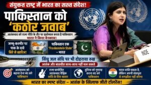 UN में भारत का पाकिस्तान पर तीखा हमला, कहा- Frankenstein State अपने ही बनाए आतंक के जाल में फंसा 4 UN में भारत का पाकिस्तान पर तीखा हमला, कहा- Frankenstein State अपने ही बनाए आतंक के जाल में फंसा