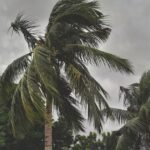 IMD Monsoon Update: अगले 48 घंटे में इन 3 राज्यों में होगी एंट्री, दिल्ली-यूपी सहित 8 राज्यों में भारी बारिश और ओले गिरने का अलर्ट