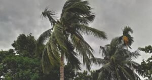 IMD Monsoon Update: अगले 48 घंटे में इन 3 राज्यों में होगी एंट्री, दिल्ली-यूपी सहित 8 राज्यों में भारी बारिश और ओले गिरने का अलर्ट 6 IMD Monsoon Update: अगले 48 घंटे में इन 3 राज्यों में होगी एंट्री, दिल्ली-यूपी सहित 8 राज्यों में भारी बारिश और ओले गिरने का अलर्ट