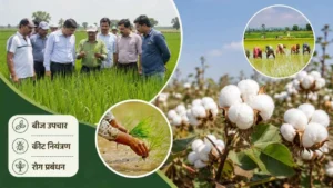 Sonipat News: धान और कपास फसलों का सर्वे, किसानों को बीज उपचार की सलाह 5 Sonipat News: धान और कपास फसलों का सर्वे, किसानों को बीज उपचार की सलाह