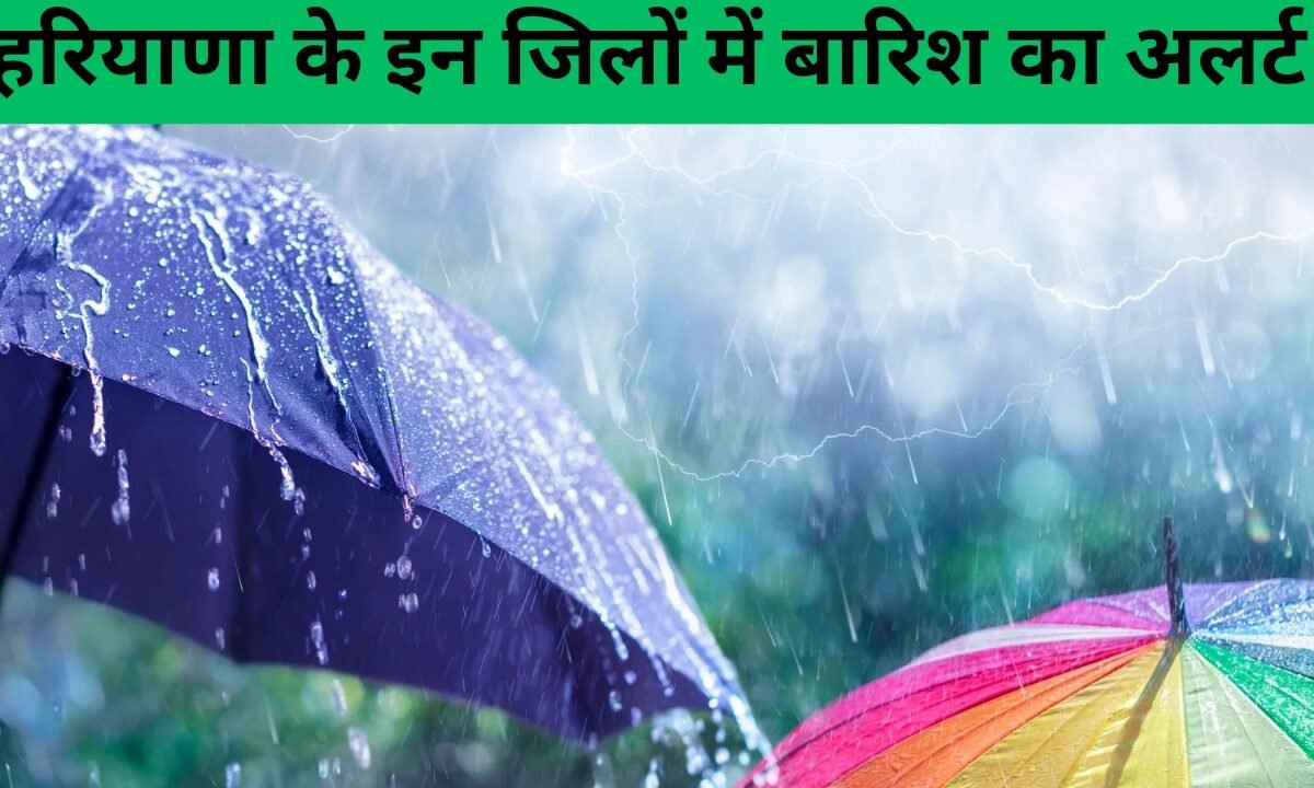 haryana weather update monsoon rain yellow alert temperature drop 20260915 074144 0000 1